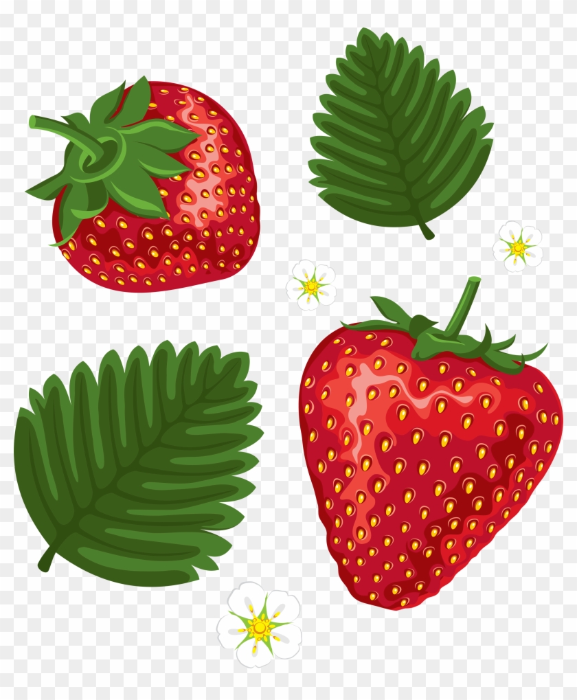 Strawberry Leaf Cliparts - Strawberry Leaves Clip Art #321219