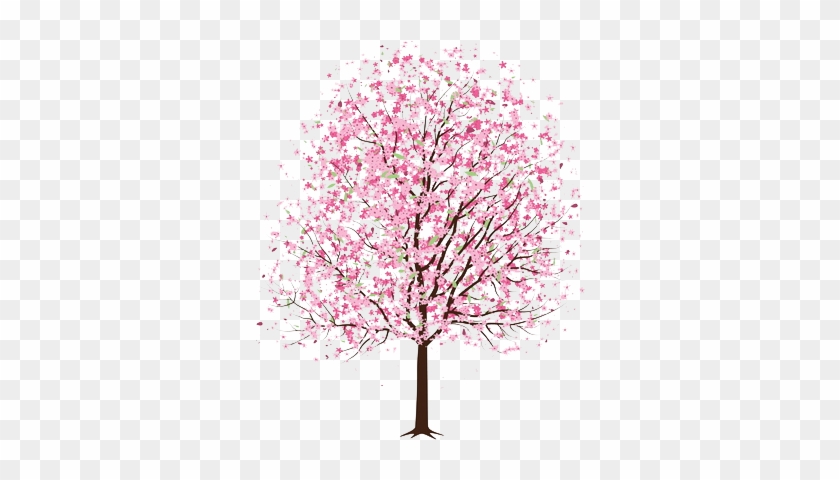 Songs For Summer - Cherry Blossom Tree Drawn #324004