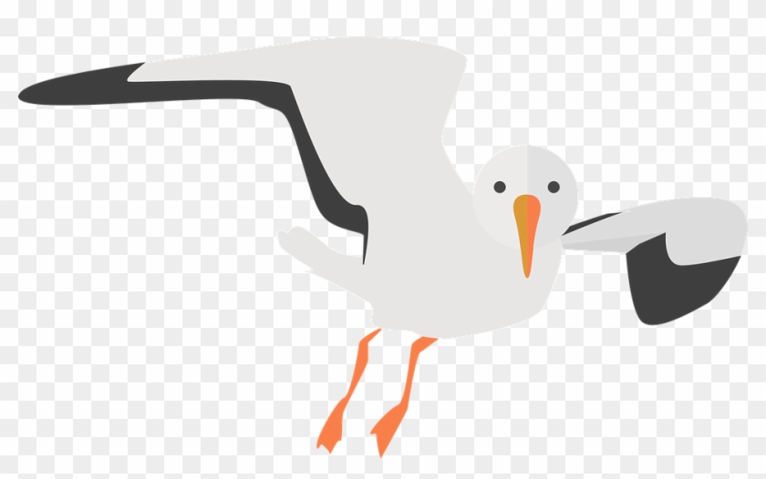 Seagull Clipart Transparent Pencil And In Color Seagull - Transparent Background Seagull Clipart #325823