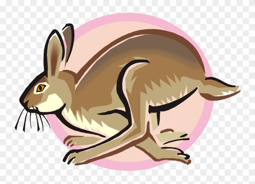 Free Rabbit Clipart Png - Jack Rabbit Clipart - Free Transparent PNG Clipar...