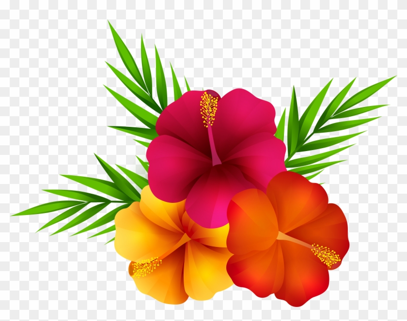 Exotic Flowers Png Clip Art Image - Transparent Background Tropical Flower  Png - Free Transparent PNG Clipart Images Download