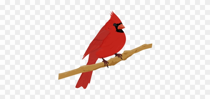 Cute Cardinal SVG Cut Files Cardinals Clipart Bird Clip Art 