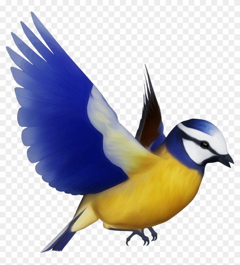 Birds Clipart - Bird Png #329814