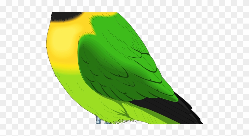 Images Free Download - Bird Hd Png #329824