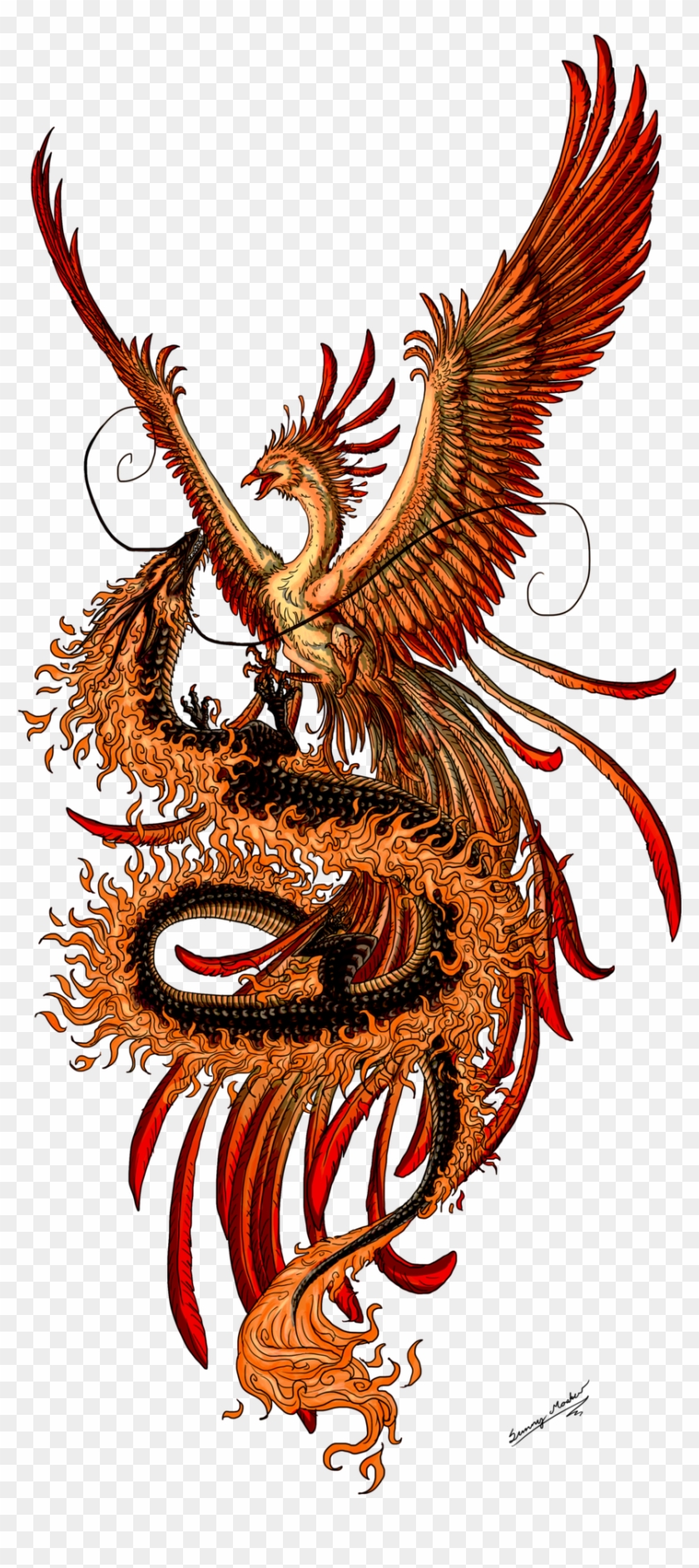 Phoenix Tattoo Designs Female - Tribal Phoenix Transparent PNG - 489x692 -  Free Download on NicePNG