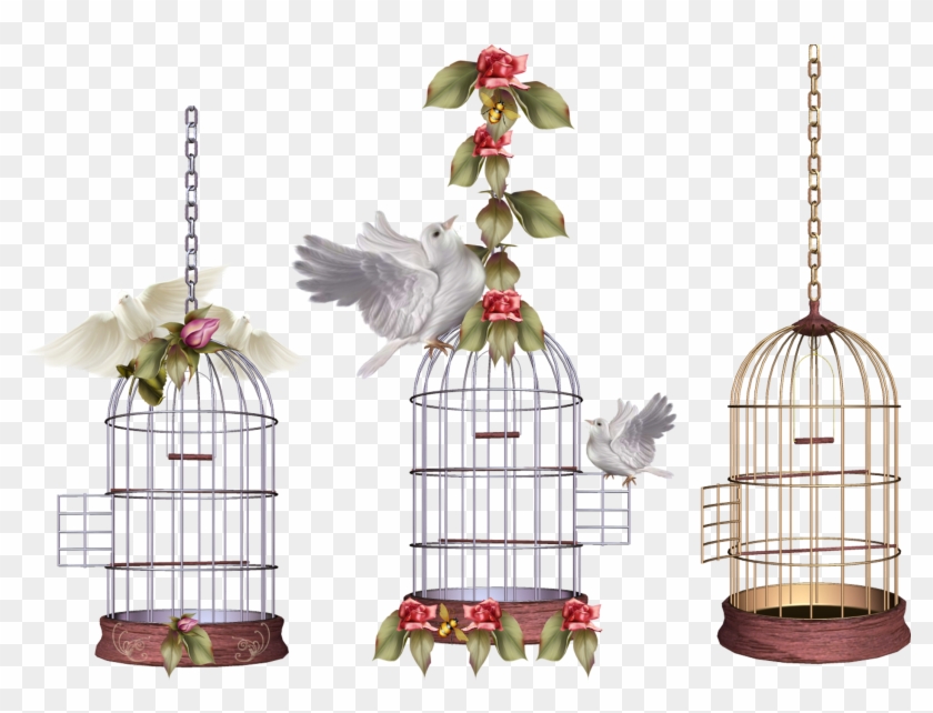 Lovebird Parrot Birdcage - Lovebird Parrot Birdcage #333386