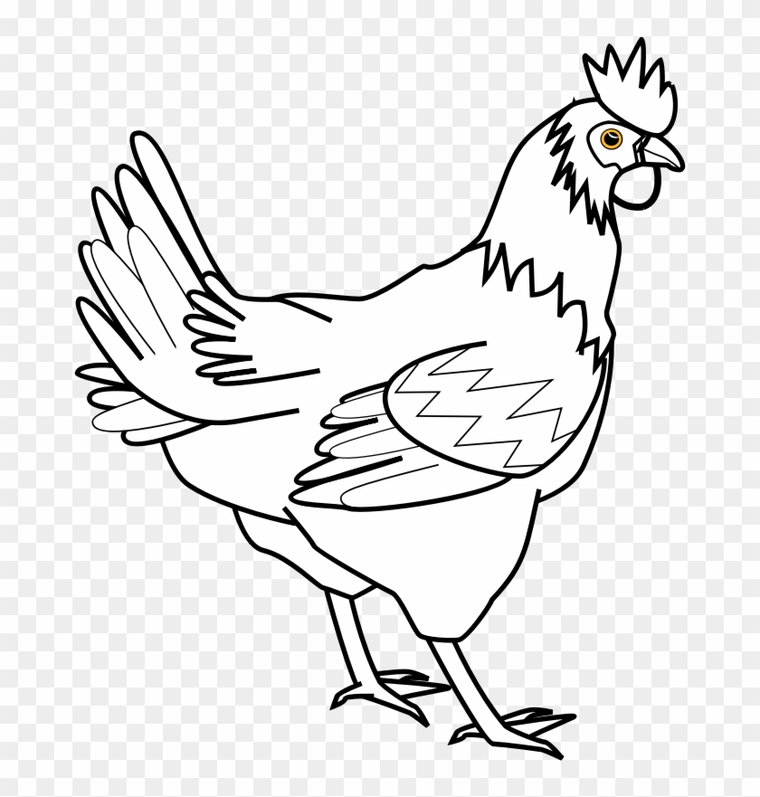 Chicken Line Art Davidone Chicken - Farm Animal Coloring Pages #334826