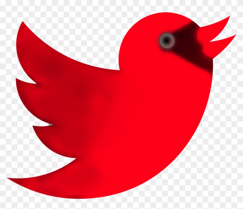 Bird Calls - Logo Twitter Rouge Png #335000