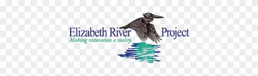 Elizabeth River Project - Elizabeth River Project #335264