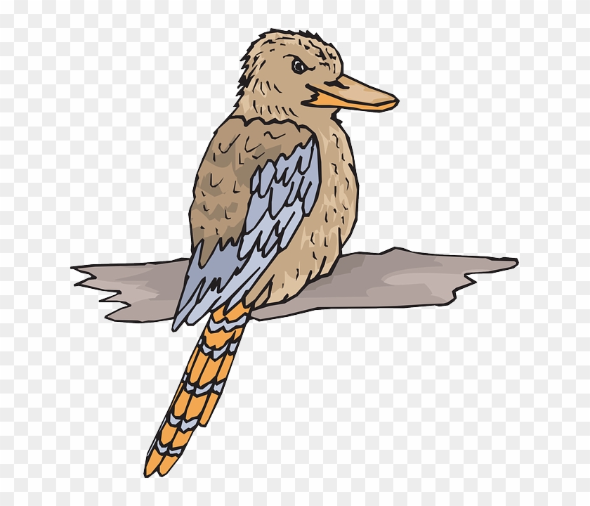 Kookaburra Bird, Wood, Wings, Animal, Beak, Feathers, - Australia Kookaburra Clipart Free #335480