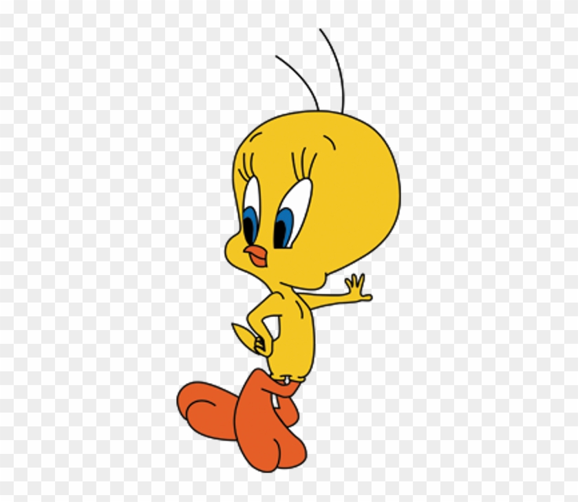 Tweety Bird Photo - All Types Of Cartoon - Full Size PNG Clipart Images ...