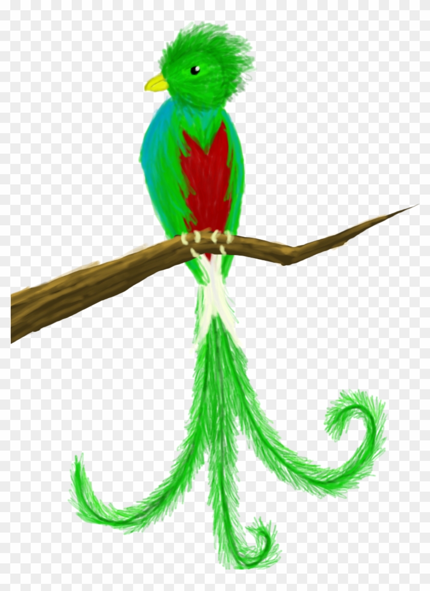 quetzal flying drawing