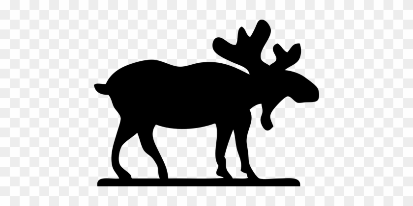 Moose Animal Mammal Silhouette Antlers Wil Moose Clip Art Free Transparent Png Clipart Images Download