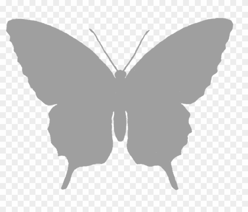 Butterfly Silhouette Black And White Clip Art - Butterfly Silhouette Black And White Clip Art #342777