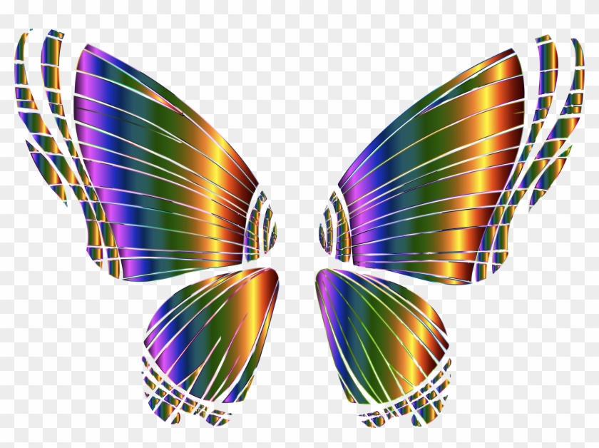 Big Image - Butterfly Wing No Background - Free Transparent PNG Clipart  Images Download