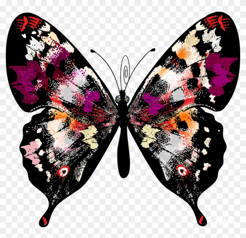 Butterfly Clip Art - Butterfly Clip Art - Full Size PNG Clipart Images ...