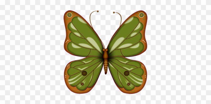 Clipart Butterflies - Clip Art #343203