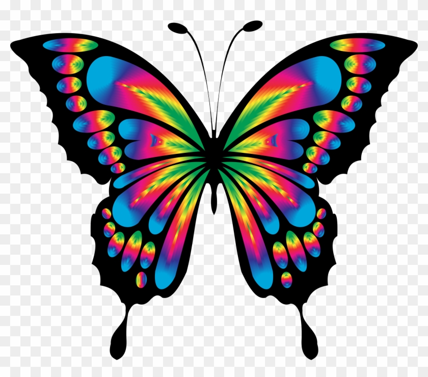 Butterfly - Dibujos De Mariposas A Color - Free Transparent PNG Clipart ...