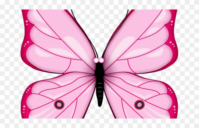 Pink Butterfly Clip Art #343853