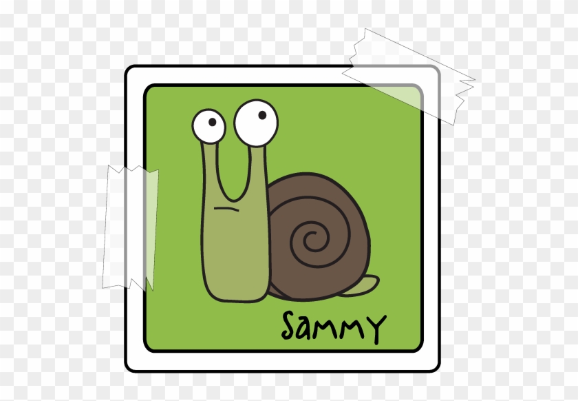 Snail Clipart Sammy - Sea Snail #344605