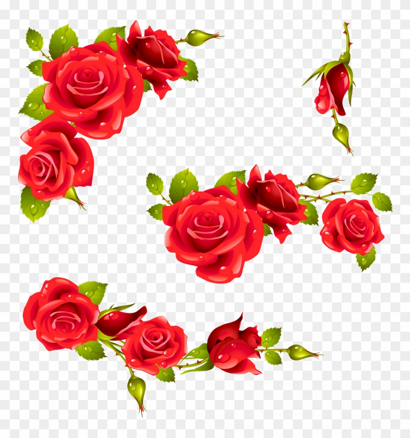 0 A767b 911802d4 Xxxl - Arabescos De Rosas - Free Transparent PNG ...