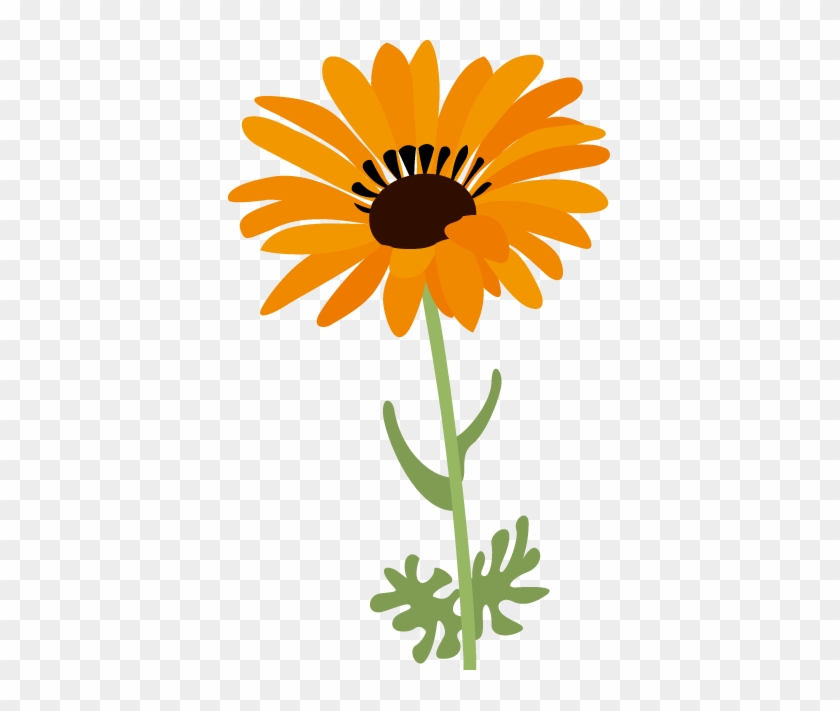 春の花1 12 ジャノメギクイラスト Sunflower Free Transparent Png Clipart Images Download