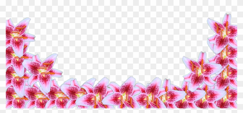 Flower border transparent background 24758656 PNG