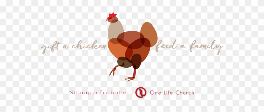 Gift A Chicken, Feed A Family - Carrickfergus Borough #350120