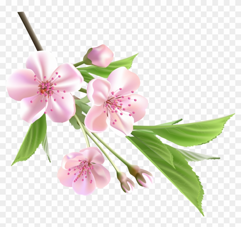 Flowering Branch Cliparts - Spring Flower Png - Free Transparent PNG ...