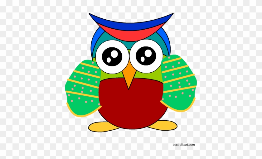 Colorful Serious Owl Clip Art - Owl #352028