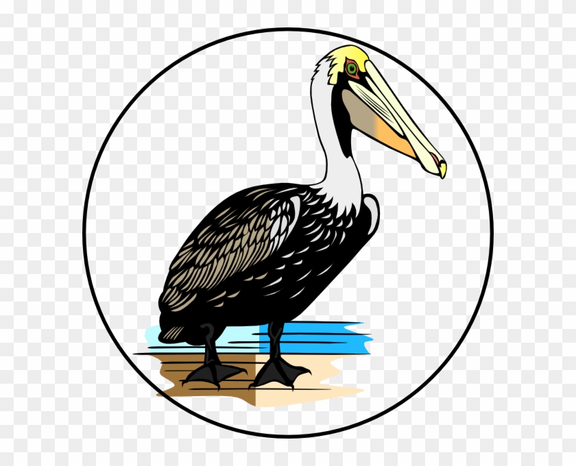 Clipart Info - Custom Pelican Shower Curtain #354710