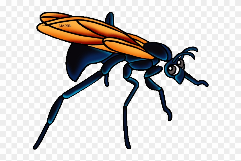New Mexico State Insect Tarantula Hawk Wasp - New Mexico State Insect #356260