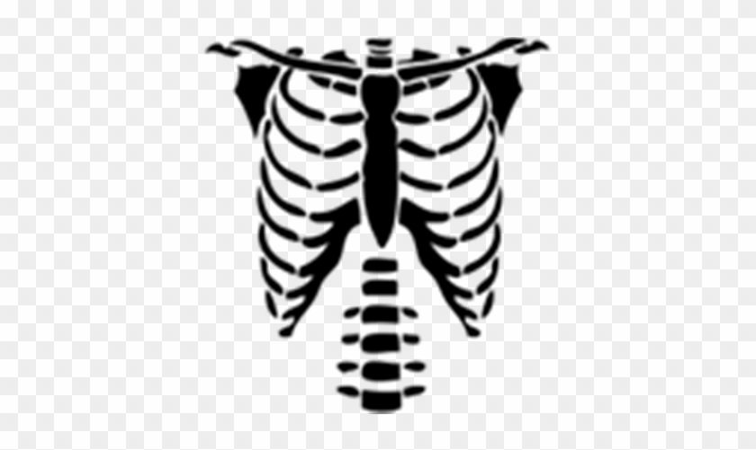 Beautiful Rib Cage Cartoon Skeleton Torso Halloween Png T Shirts For Roblox Free Transparent Png Clipart Images Download - roblox pumpkin face t shirt