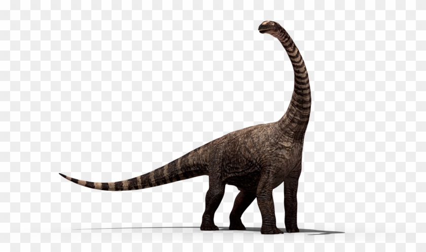 Dinossauro Png Hd #359081