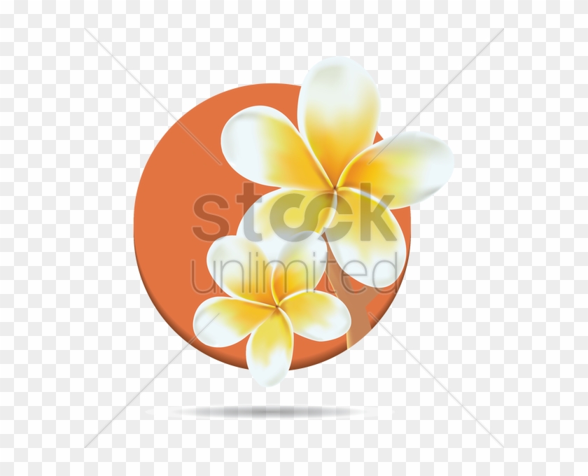 Frangipani Vector Graphic - Vector Graphics #360767