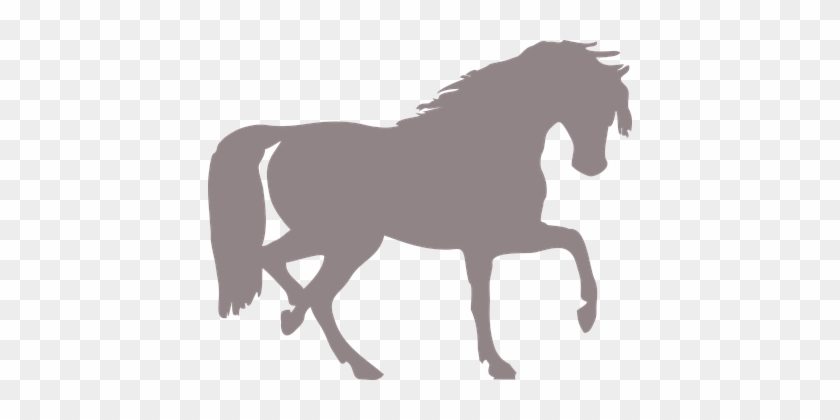 Horse, Silhouette, Isolated, Animal - Horse Silhouette Clip Art #365700