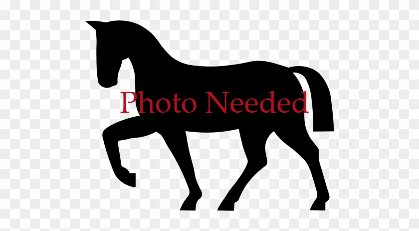 Cutting Horse Clip Art #366500