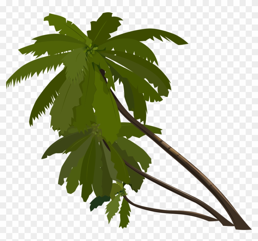 Palm - Palma Clipart #374237