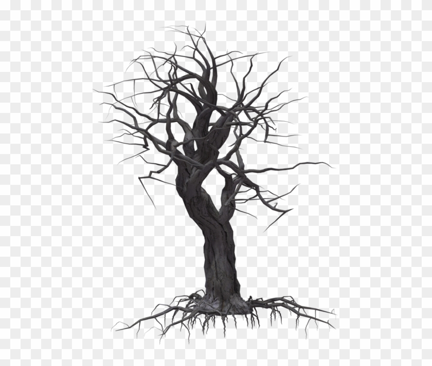 Creepy Tree 05 By Wolverine041269 On Clipart Library - Creepy Tree Transparent Background #382173