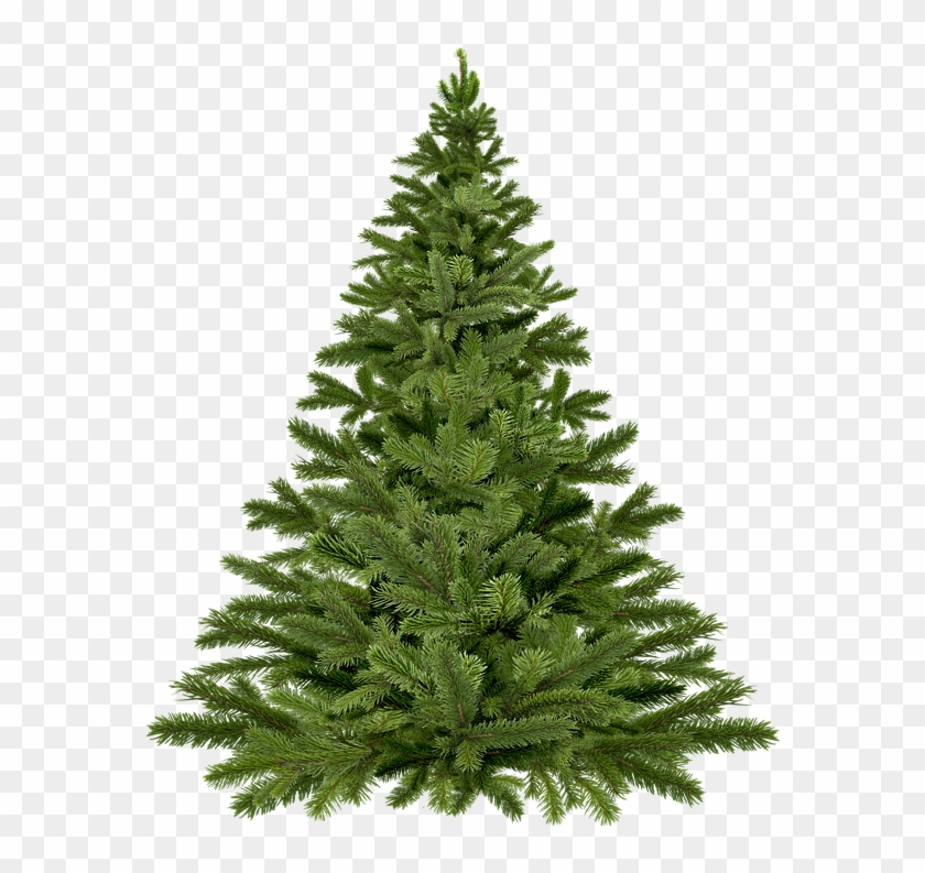 Cartoon Christmas Trees 19, Buy Clip Art - Елка Пнг #383808