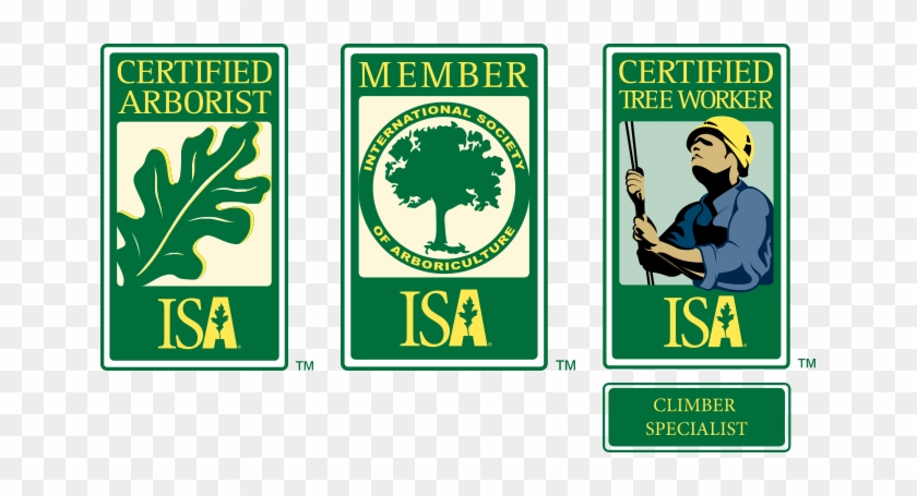 Isa Certified Arborist, Isa Member, & Isa Certified - Isa Certified Tree Climber #384522