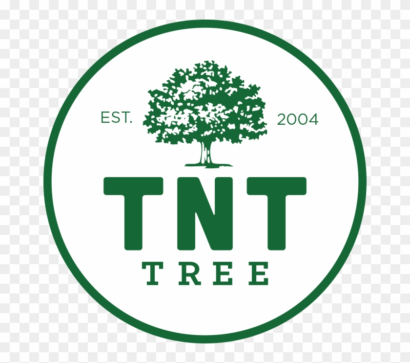 Tnt Tree - Ender 7 #384550