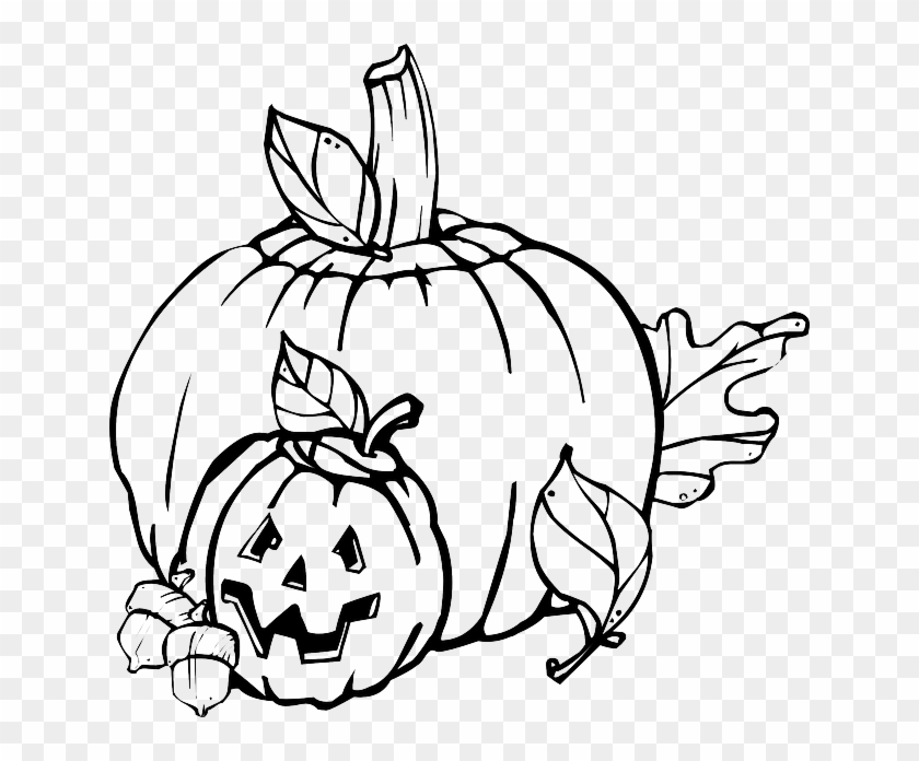 Easy Pumpkin Drawing: How To Draw A Pumpkin Story - Yummy Mummy Kitchen