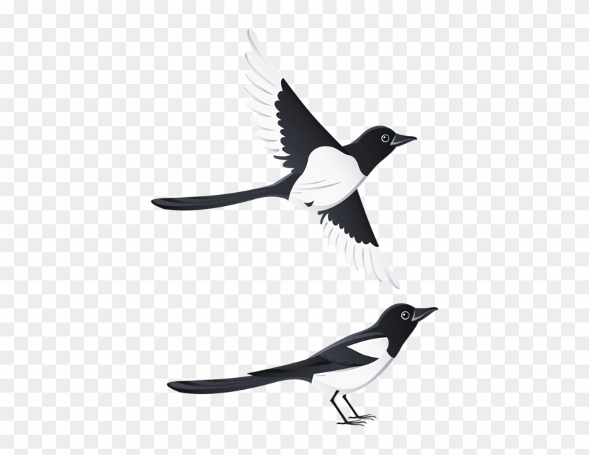 Swallows Png Clipart Picture - Having It All By Maeve Haran #385743