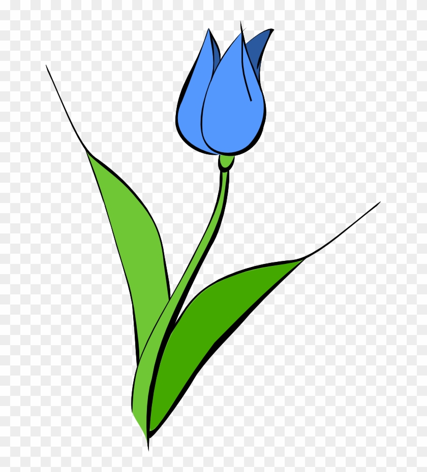 Film Reel Clipart - Blue Tulip Clipart #64856