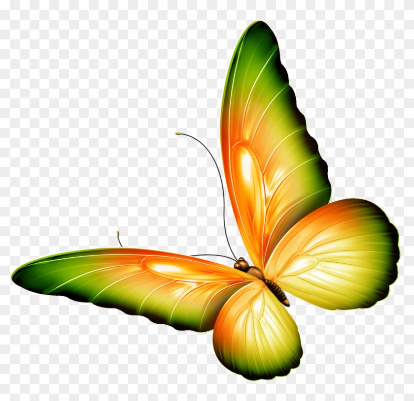 Butterfly - Clipart Flowers And Butterflies #387212