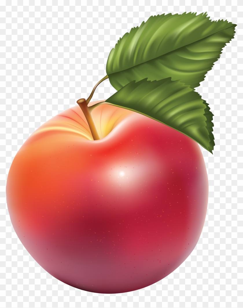 Image Clipart Transparent Png Apple Png Apple Image - Яблоко Пнг #387305