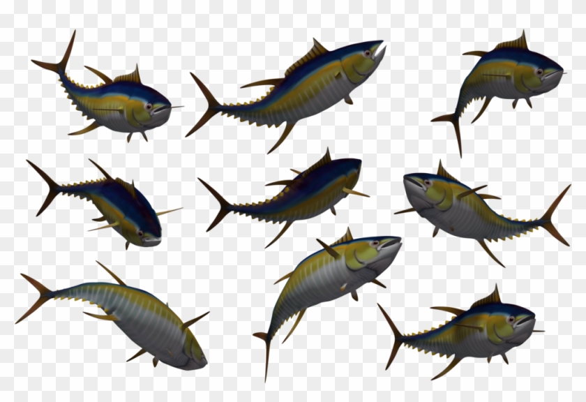 Fish Set 05 By Free Stock By Wayne On Clipart Library - Free Stock Fish #387903