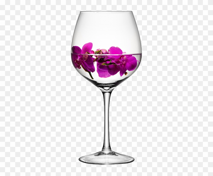 Little Rock Venues And Wedding Receptions - Lsa International Lsa Wine Glass H39cm #388685