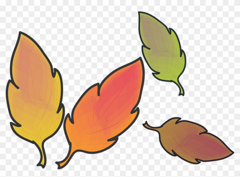 Autumn Clip Art 28, Buy Clip Art - Daun Gugur Kartun Transparent #388832